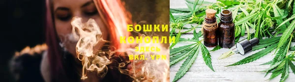 PSILOCYBIN Бикин