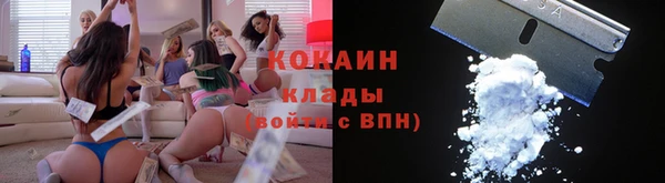 PSILOCYBIN Бикин
