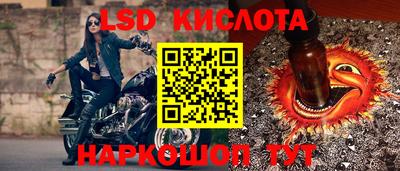 Альфа ПВП Гусев